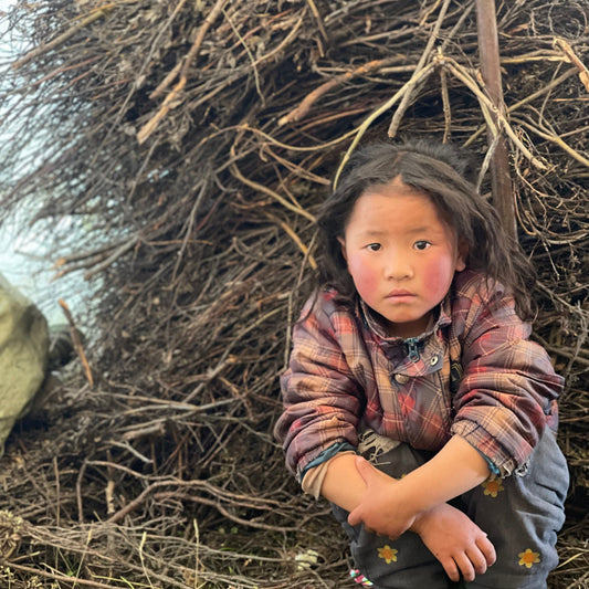 Empowering Tibetan Children: A Call for Compassion