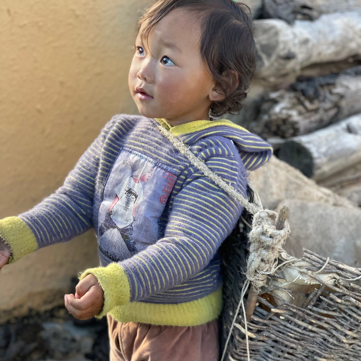 Empowering Tibetan Children: A Call for Compassion