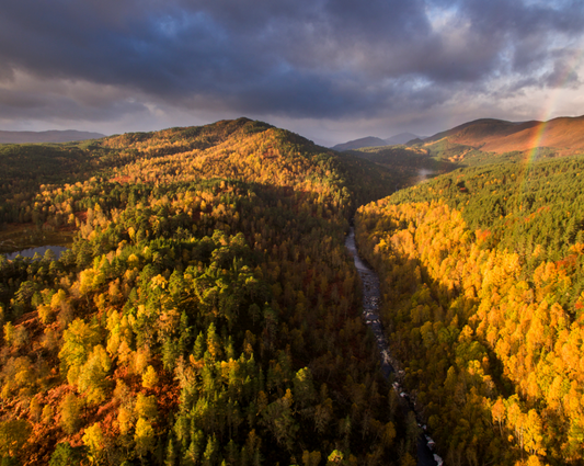 Nature Needs Our Voice