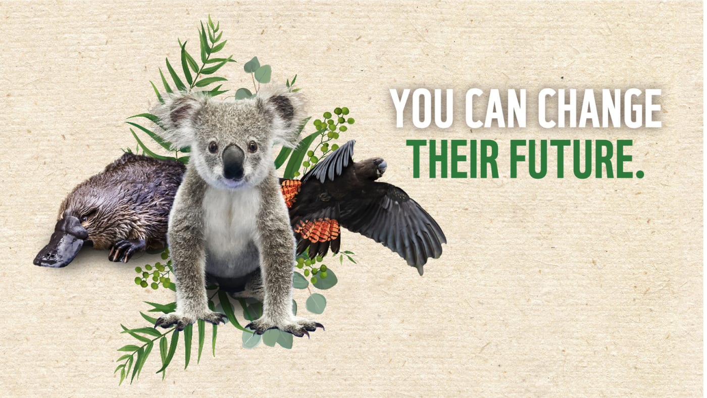 Donation to help save endangered Australian species